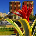  ,  -  20  2016        ͻ