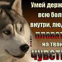 ���� �����, �����-���������, 50 ��� - ��������� 24 ������� 2017 � ������ ������ ��������