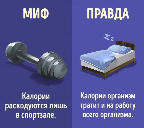 10    ,     . - 10