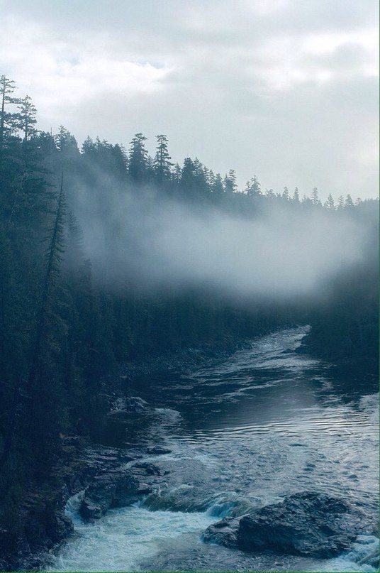 ����������� ���