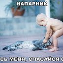 ���� ������, ������, 50 ��� - ��������� 23 ����� 2017 � ������ ������ ��������