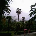 ���� �����!!!! 2015� �� ������� ������ ��������