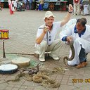 ���� ������, ������ - ��������� 4 ������� 2016 � ������ ���� ����������