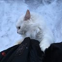  Sergey, , 57  -  28  2017    