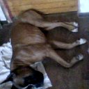 ���� ����, ������, 38 ��� - ��������� 28 �������� 2016 � ������ ���� ����������