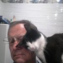 ���� ����, ������������, 65 ��� - ��������� 8 ������ 2017 � ������ ������ ��������