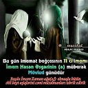 ���� �����, �����-���������, 47 ��� - ��������� 9 ������ 2017