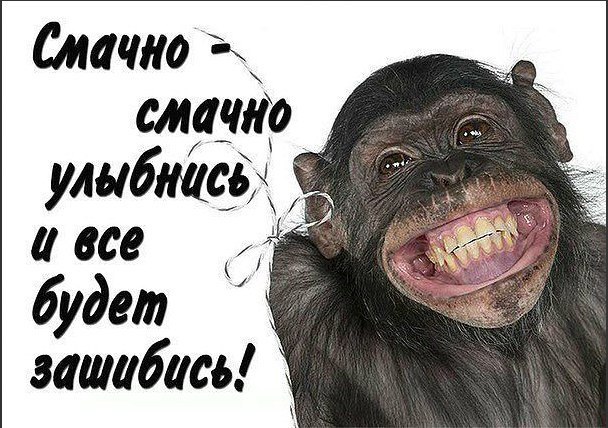 Даже если у вас во рту остался лишь один зуб-УЛЫБАЙТЕСЬ..,!! УЛЫБКА-это не количество жубов, а ...