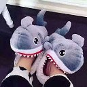 ���� ����, ����������� - ��������� 27 ������ 2016 � ������ ������ ��������