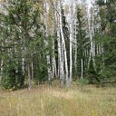 ���� �����, �������, 59 ��� - ��������� 19 �������� 2016 � ������ ���������� �������