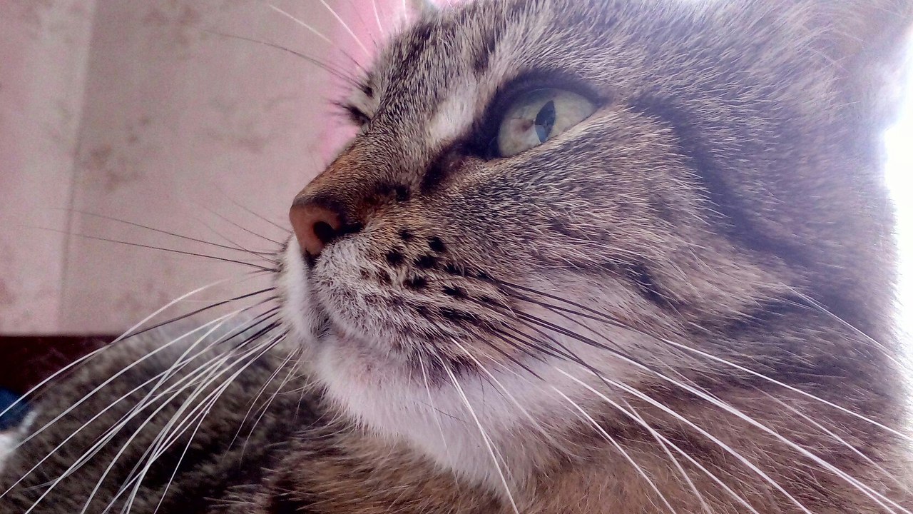 #_.   -  .    ,  6  ... - 6