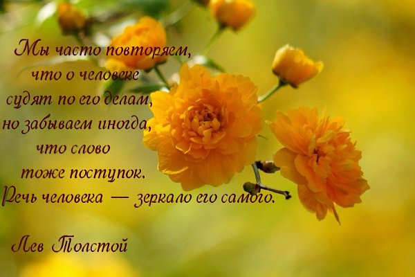   - 2  2016  09:42