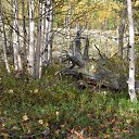 ���� �������, ��������, 53 ���� - ��������� 17 �������� 2016 � ������ �������� ��� .�