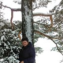 ���� ����, ��������, 47 ��� - ��������� 2 ������� 2016 � ������ ���� ����������