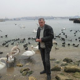 ��������, �����������, 62 ����