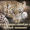 ���� ���������� �, �������, 62 ���� - ��������� 15 ������ 2017 � ������ �������