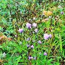 ���� �������, ��������, 47 ��� - ��������� 2 ������� 2016 � ������ ���� ����������