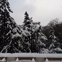 ���� �������, ����, 55 ��� - ��������� 30 ������ 2017 � ������ ���� ����������