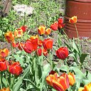 ���� Yusoup, ������, 70 ��� - ��������� 1 ������ 2017 � ������ ���� ����������