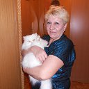 ���� ����, �������������� - ��������� 1 ������ 2017 � ������ ������ ���-2017�