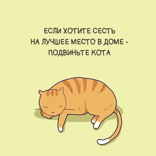  -  - 29  2017  08:24