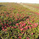 ���� ������, �����-���������, 67 ��� - ��������� 15 �������� 2016 � ������ ���������