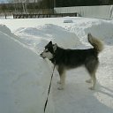 ���� ������, ������� ������, 30 ��� - ��������� 2 ������� 2017