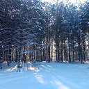 ���� ��������, ������ ��������, 63 ���� - ��������� 20 ������� 2016 � ������ ��������