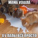 ���� ���������, �������, 56 ��� - ��������� 14 �������� 2016 � ������ ������ ��������