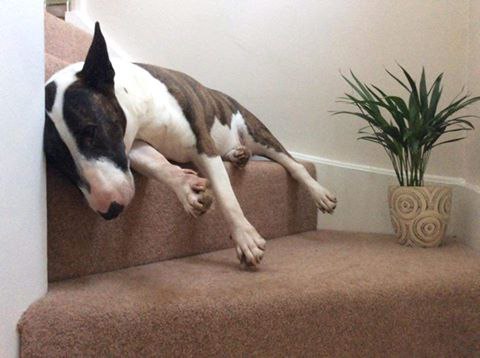 У - удобно) и никому не мешаю)