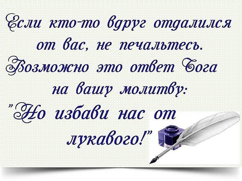 От тебя так вкусно пахнет это корвалол. Статусы с юмором и смыслом. От вас это. Танос и куда это вас привело сова ко мне. Статусы про жизнь с юмором.