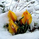 ���� �, ������ - ��������� 19 ������� 2017 � ������ ������ ��������