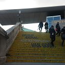 ���� ����, ����, 50 ��� - ��������� 14 ������� 2017 � ������ ������ ��� 2017�