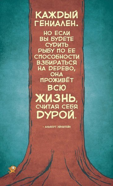 LIFE -  - 27  2016  19:04