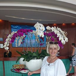 �����, ������, 61 ���