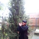 ���� ����, �����-���������, 57 ��� - ��������� 11 �������� 2016 � ������ ���� ����������