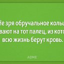 ���� ������, ���������, 66 ��� - ��������� 31 ������ 2017 � ������ ������ ��������