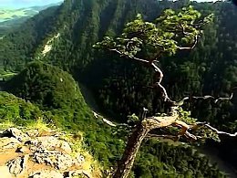 ,,Kiss of Love,, myz S .Grishchuk