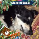���� ���������, ������, 36 ��� - ��������� 3 ������ 2017