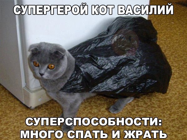    :-) - 12  2017  07:01