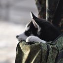 ���� �����, ����������� - ��������� 7 ������� 2017 � ������ ���� ����������