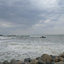 ���� �������� ����, ������, 46 ��� - ��������� 24 �������� 2016 � ������ ����