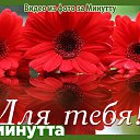 ���� �����, �����������, 75 ��� - ��������� 1 ������� 2017 � ������ ���� ����������