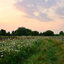 ���� �������, ���������, 52 ���� - ��������� 2 ������� 2017 � ������ ��������!�