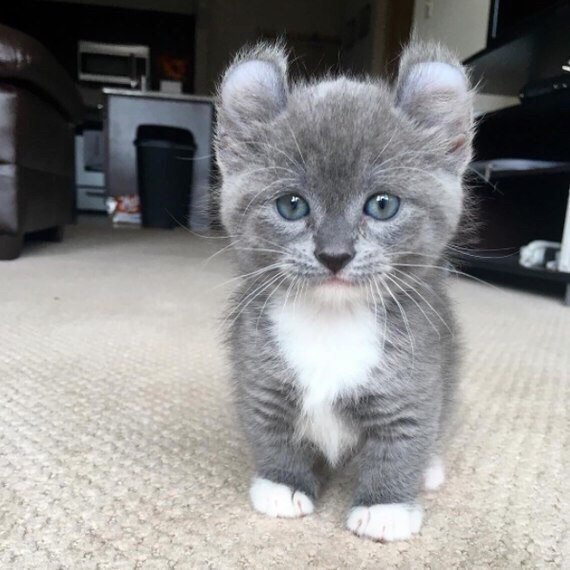M .      ?