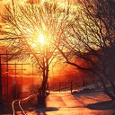 ���� �������, ���������, 44 ���� - ��������� 5 ������ 2016 � ������ ������ ��������