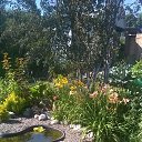 ���� �����, ������� - ��������� 29 ����� 2017 � ������ ���� ������� ����