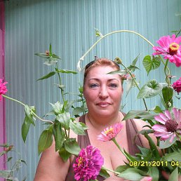 ���� ��������, ������, 56 ��� - ��������� 10 ������ 2016