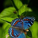 ���� �������, ������ - ��������� 11 ������� 2016 � ������ ������ ��������