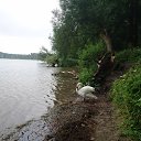 ���� �����, �������, 63 ���� - ��������� 15 ����� 2017 � ������ ���� ����������